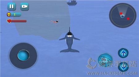 杀人鲸海滩安卓版 杀人鲸海滩安卓版
