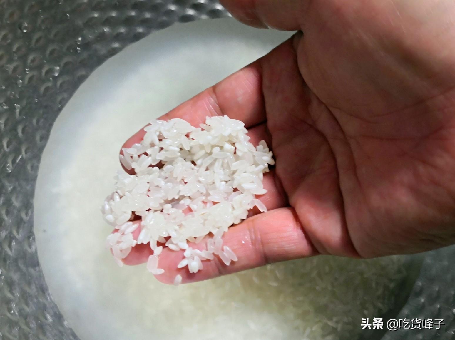 煮见 焖饭火候 米饭翻松 淘米技巧 剩饭加热
