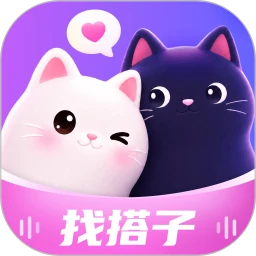 CP��3.2.300 �罻��������
