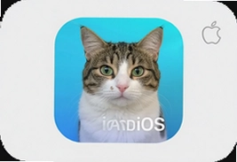 遇见你的猫iOS下载苹果版安装教程