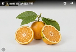 柑蕉桔梨萝柚TV内置源下载安装教程