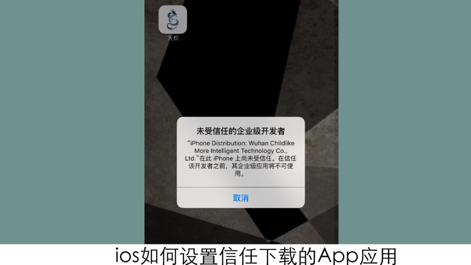 Your影视app软件免费下载苹果安装信任教程配图