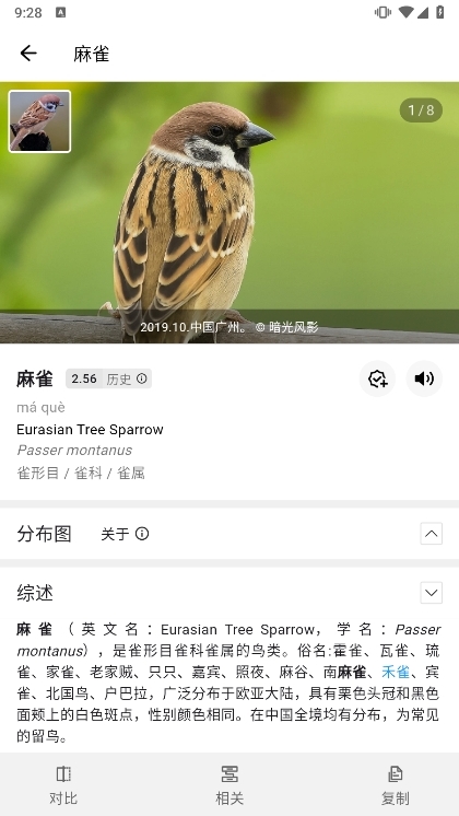 懂鸟 安卓版 鸟类识别界面截图