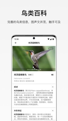懂鸟1.6.0 鸟类识别