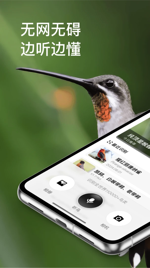 懂鸟1.6.0 鸟类识别