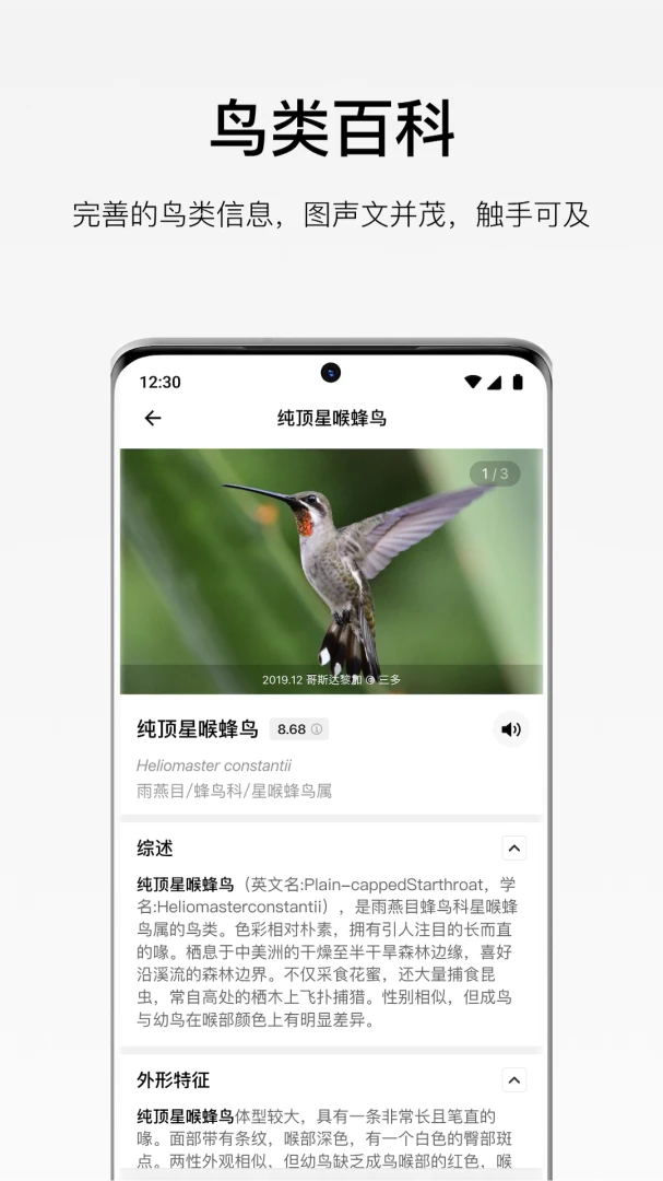 懂鸟1.6.0 鸟类识别