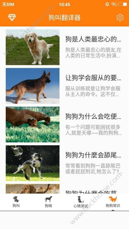 ���з������������İ�app