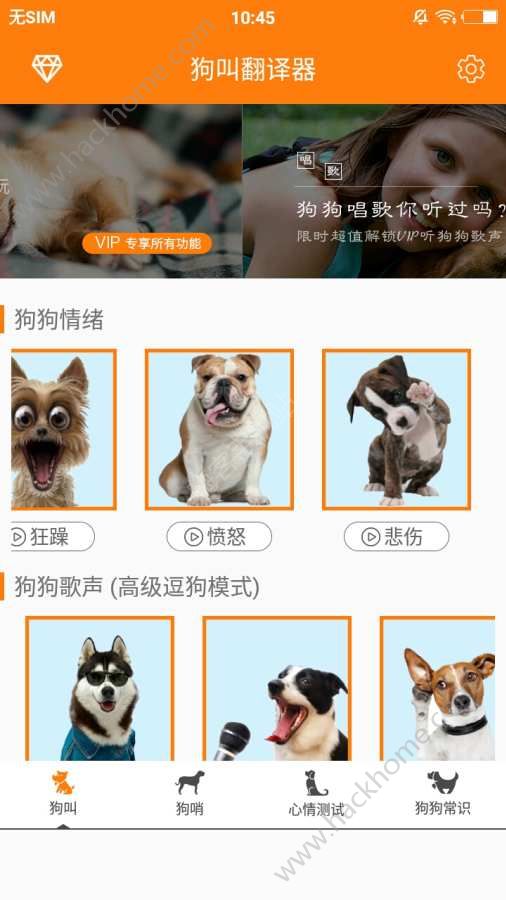 ���з������������İ�app