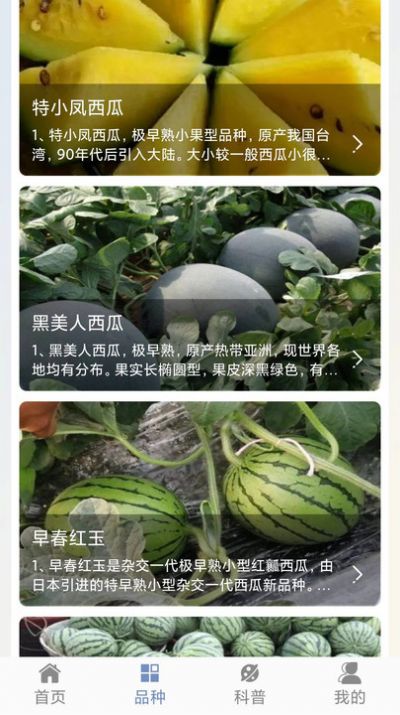 西瓜王国百科软件手机版下载 西瓜王国百科软件手机版下载