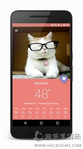 Meowzr ios�ֻ���app
