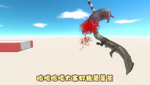 ����ս��ģ�������º��������������°� ��������ˮĸʵս���Ի���