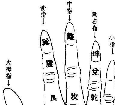 掌中物是什么意思 掌中物指什么 掌中物含义图解