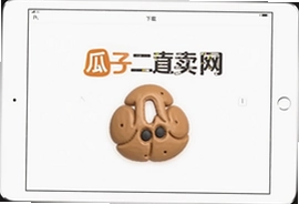 瓜子二手车直卖网iPad版下载官方入口