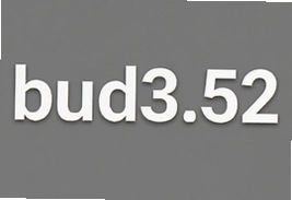 bud3.52版本游戏最新官方版下载入口
