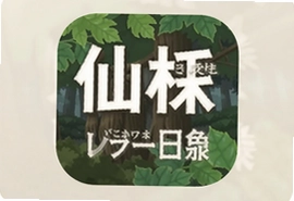 仙栎日语app免费下载官方正版入口