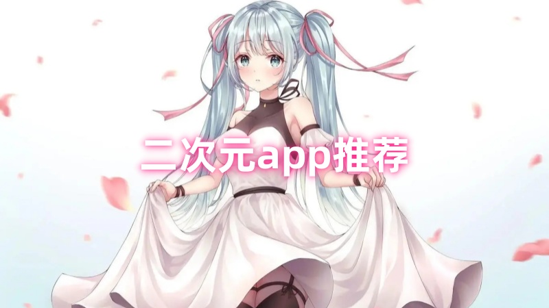 枫桑二次元 安卓版 功能操作截图