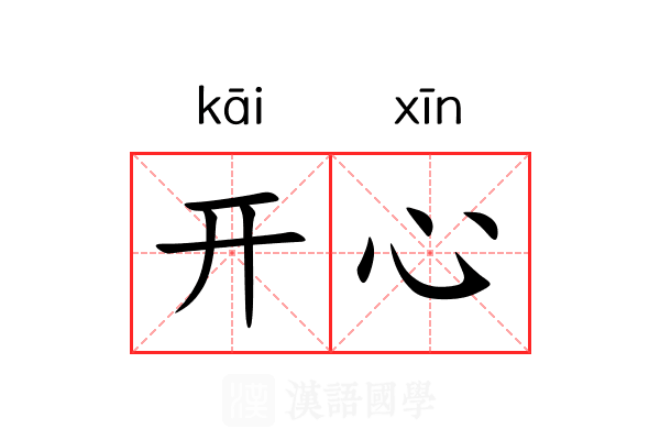 开心果多多多安卓版 安装界面