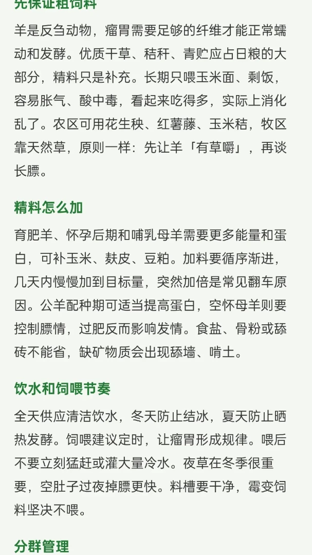 我抓羊很强1.0.2 抓羊赚钱小游戏 我抓羊很强1.0.2 抓羊赚钱小游戏