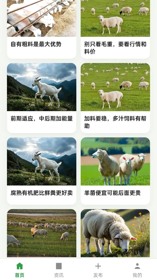 我抓羊很强1.0.2 抓羊赚钱小游戏 我抓羊很强1.0.2 抓羊赚钱小游戏