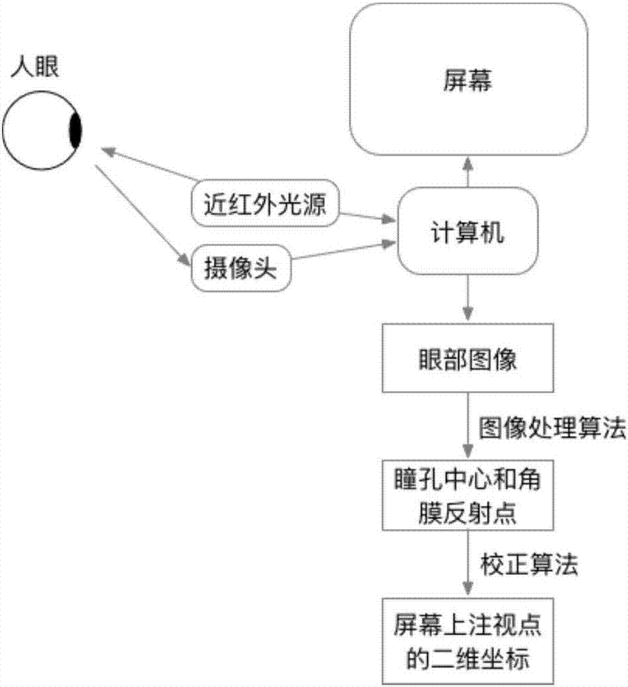眼力锁定疾速比实测训练方法全流程分享配图
