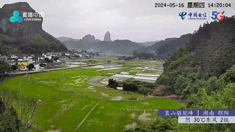 新糖意tvapp下载最新免费版 新糖意tvapp下载最新免费版