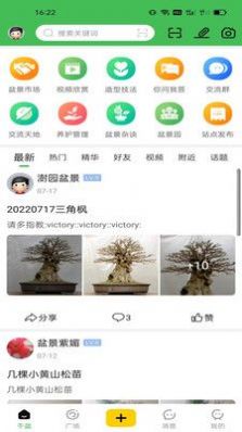 千盆盆景app官方下载 千盆盆景app官方下载