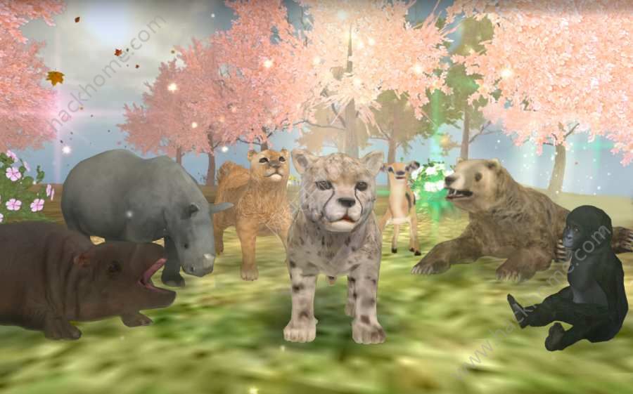 ���ַ���3.0���İ�׿���°棨WildAnimalsOnline��