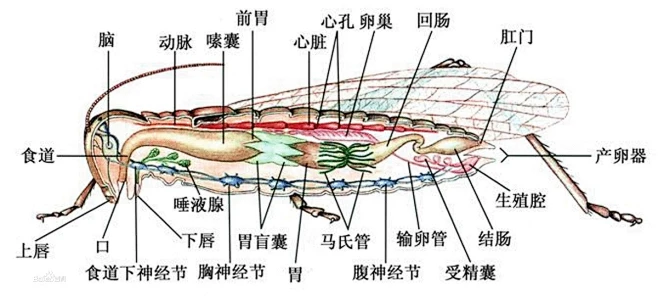 宙斯印记相机 安卓版 操作界面