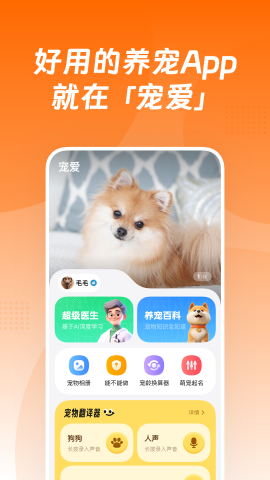 爱宠宠 安卓版 下载