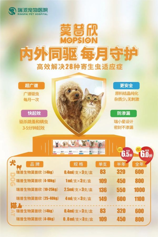 爱宠宠宠物驱虫喂食护理配图