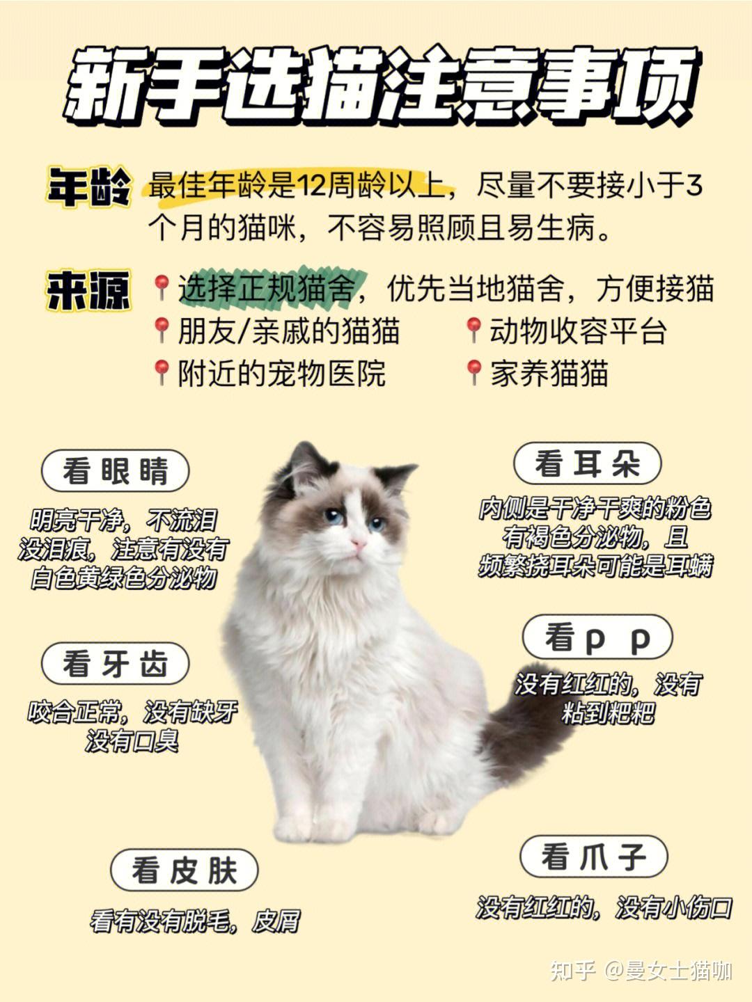 爱宠宠新手养宠必看的宠物养护小知识 猫狗日常喂养与护理场景图