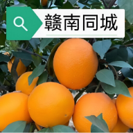 赣南同城16.5.0 本地生活服务