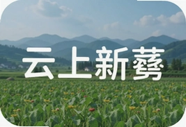 云上新蔡最新动态带你了解新蔡本地生活服务