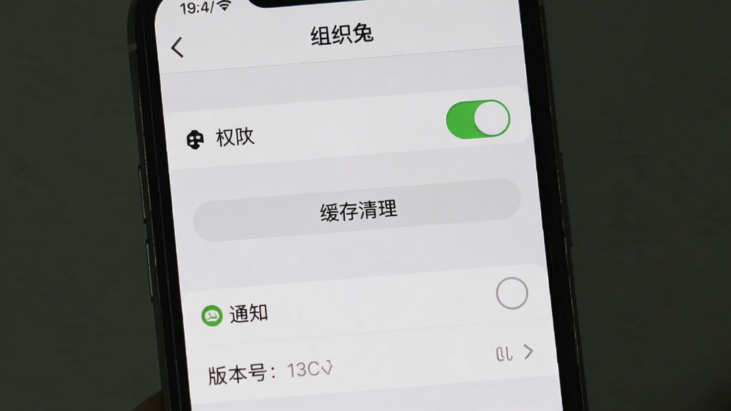 组织兔新手设置界面截图,画面主体为手机屏幕内的设置页面,布局为纵向列表,排版清晰,风格为浅灰质感,细节包括权限开关、缓存清理按钮、通知选项与版本号文字,画质高清,干净,无多余元素,屏幕顶部显示“组织兔”
