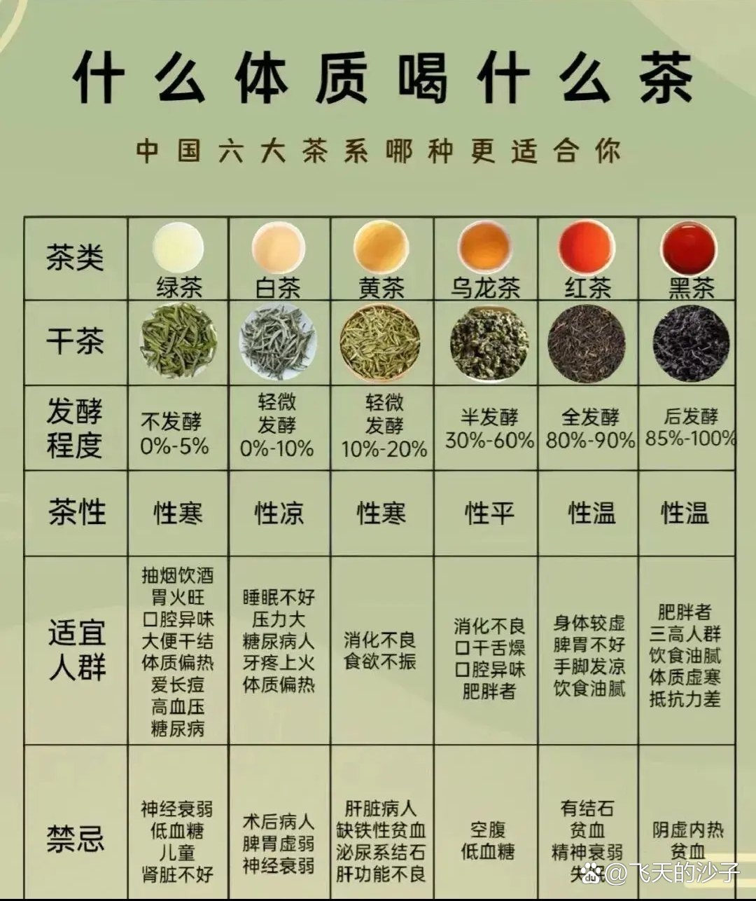 茶秘书教你挑选适合自己的茶饮 从口味体质到场景全解析