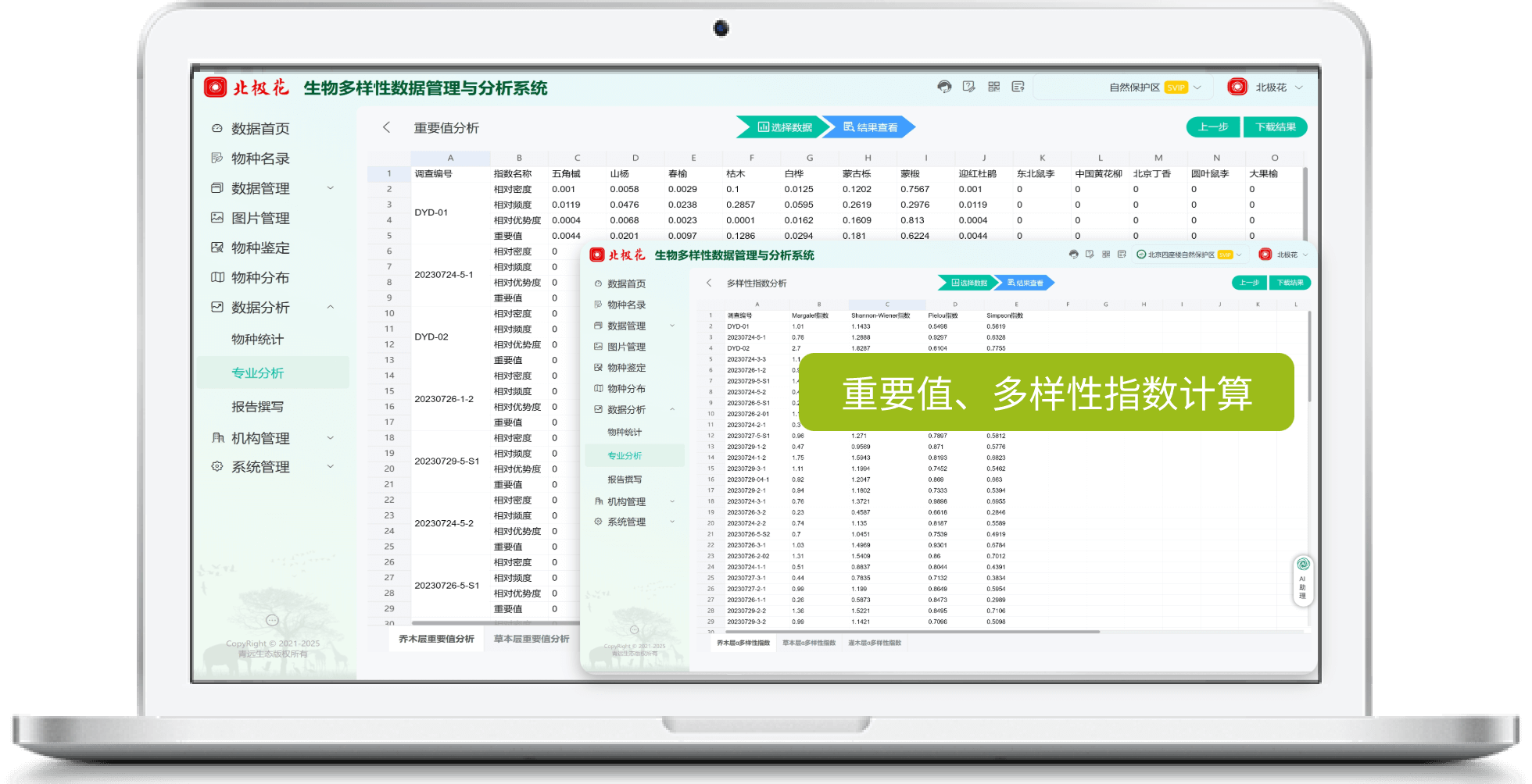 北极花生物调查 保护区域监测样方与工作人员记录场景