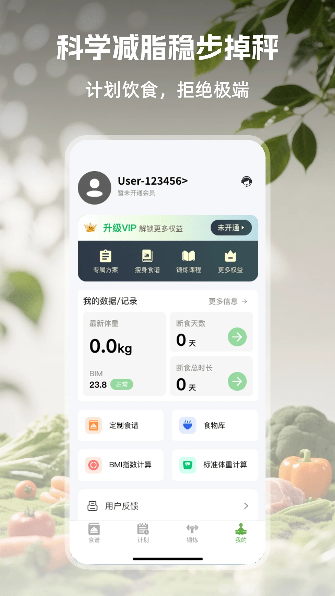��Ҷ���ʳ1.0.3 ��ѧ��ʳ����