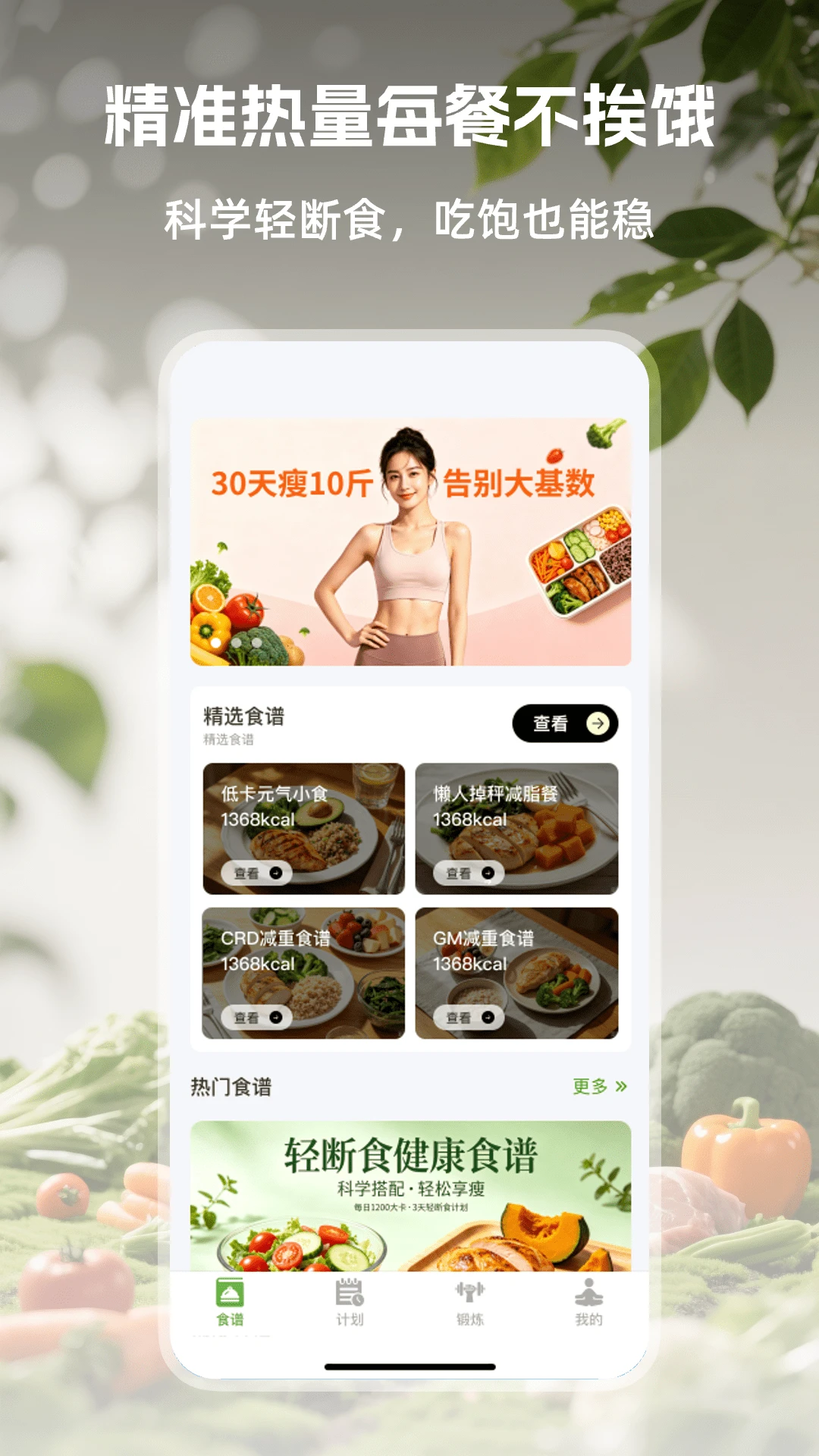 ��Ҷ���ʳ1.0.3 ��ѧ��ʳ����