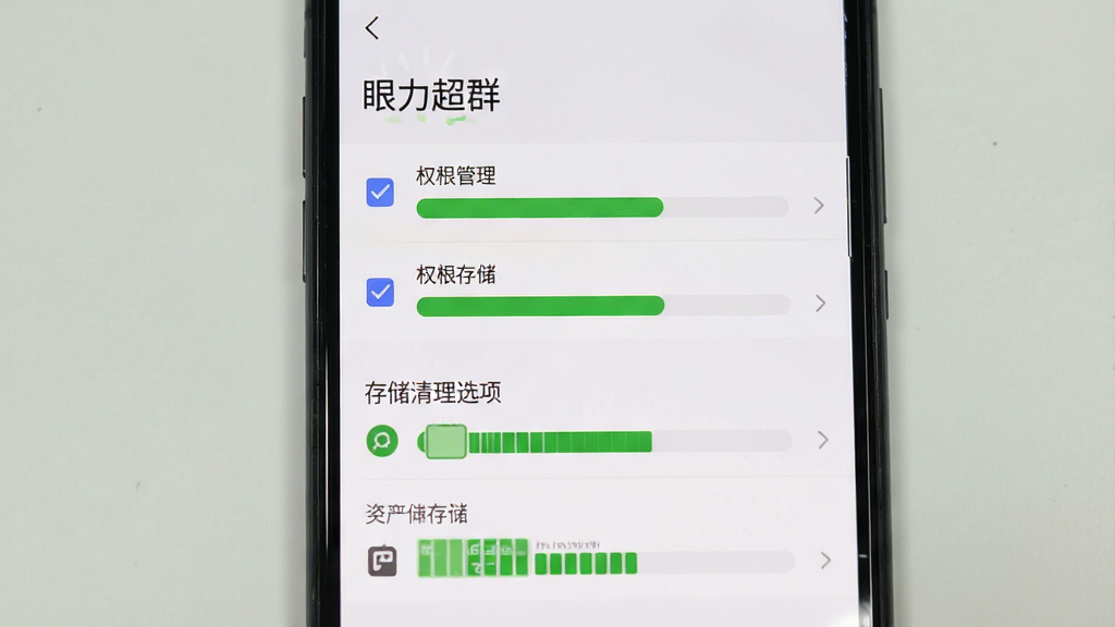 一张手机屏幕显示“眼力超群”设置界面,画面主体为权限管理与存储清理选项,布局为纵向列表,风格为系统设置风格,细节包括勾选框和存储条,画质清晰,干净,无多余元素
