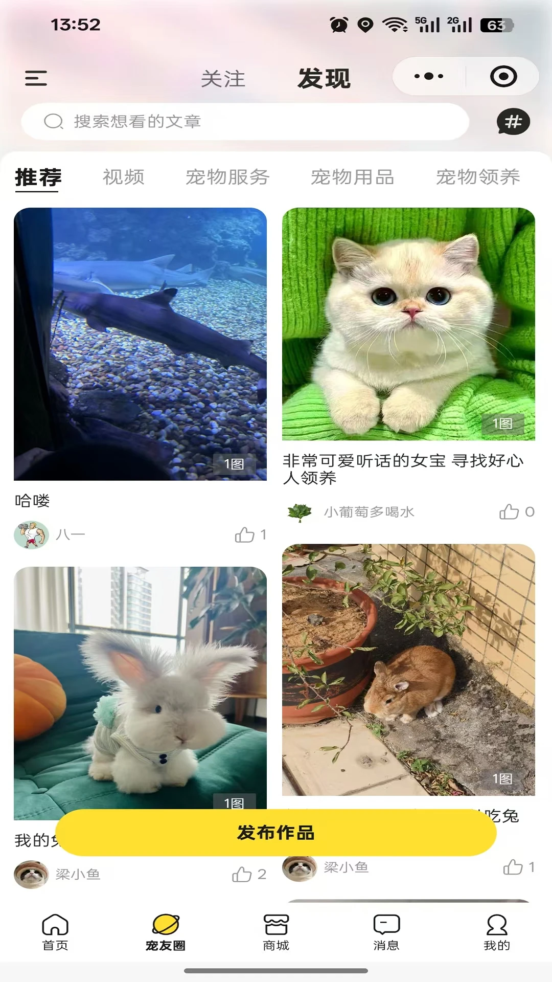 执宠乐1.2.3 宠物服务平台