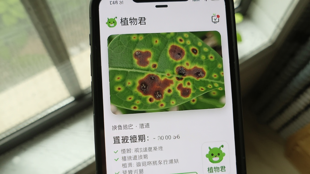 手机屏幕显示植物叶片病斑特写与诊断结果,旁边有
