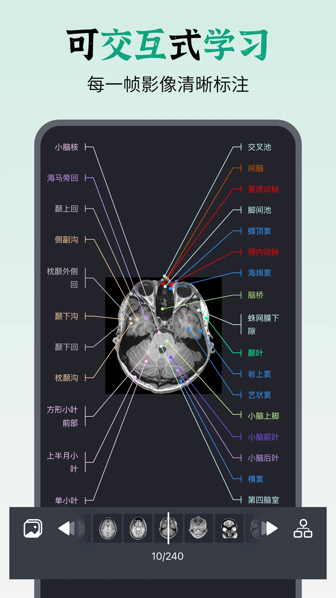 万康人体解剖3.3.5 3D解剖学习 万康人体解剖3.3.5 3D解剖学习