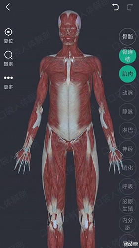 万康人体解剖 安卓版 使用教程