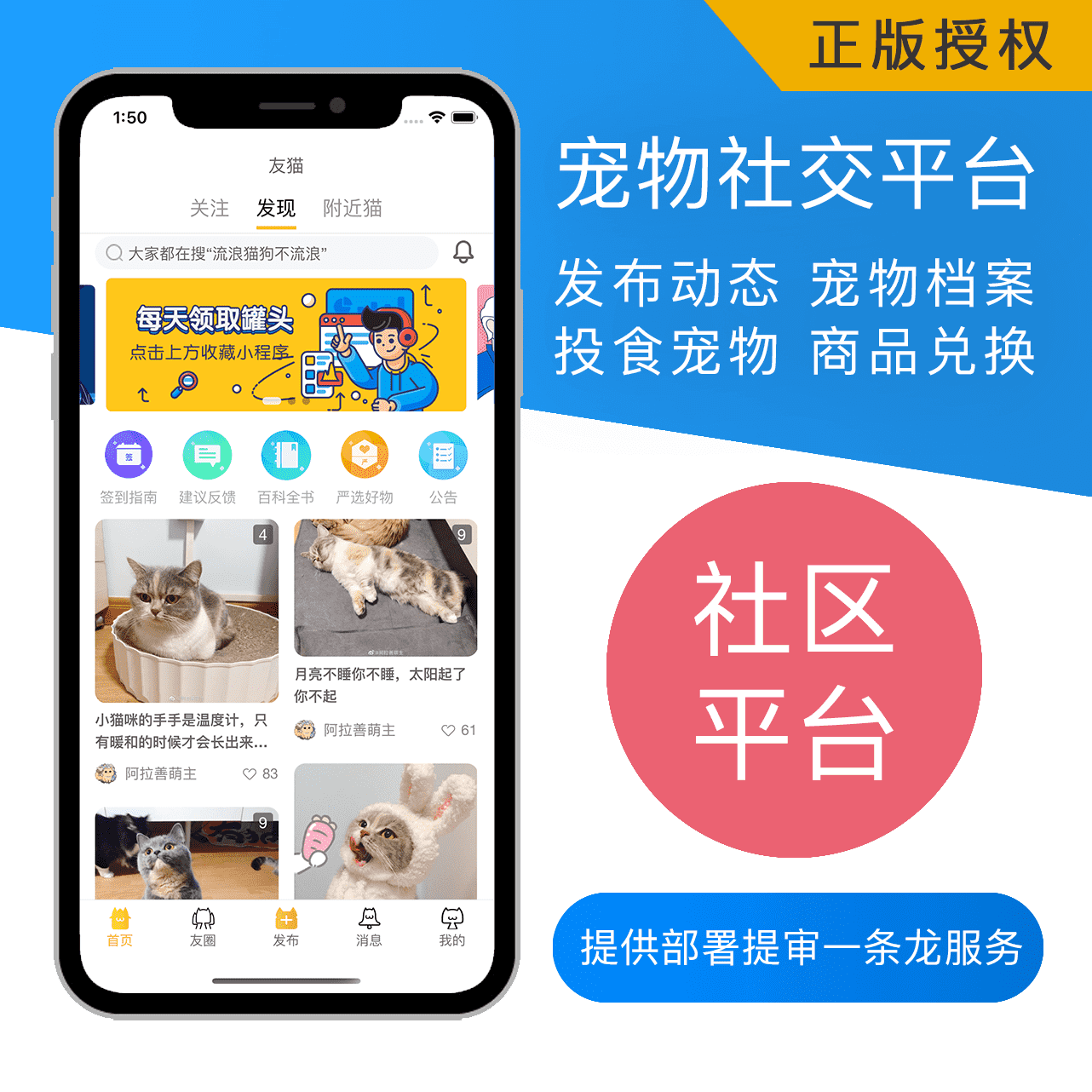 PetPandora宠物社区 安卓版 同城宠友界面