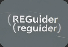 REGuider使用教程与功能详解