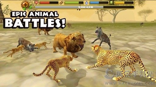 �Ա�ģ�������ĺ�����׿������