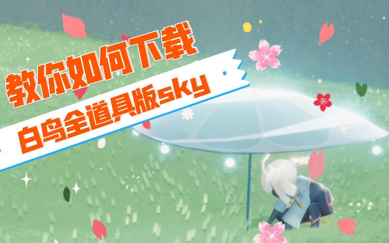 芥子空间sky光遇白鸟全物品版单机最新版 安装界面与全物品展示