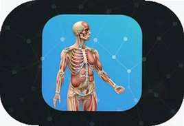 运动功能解剖教学系统App最新版