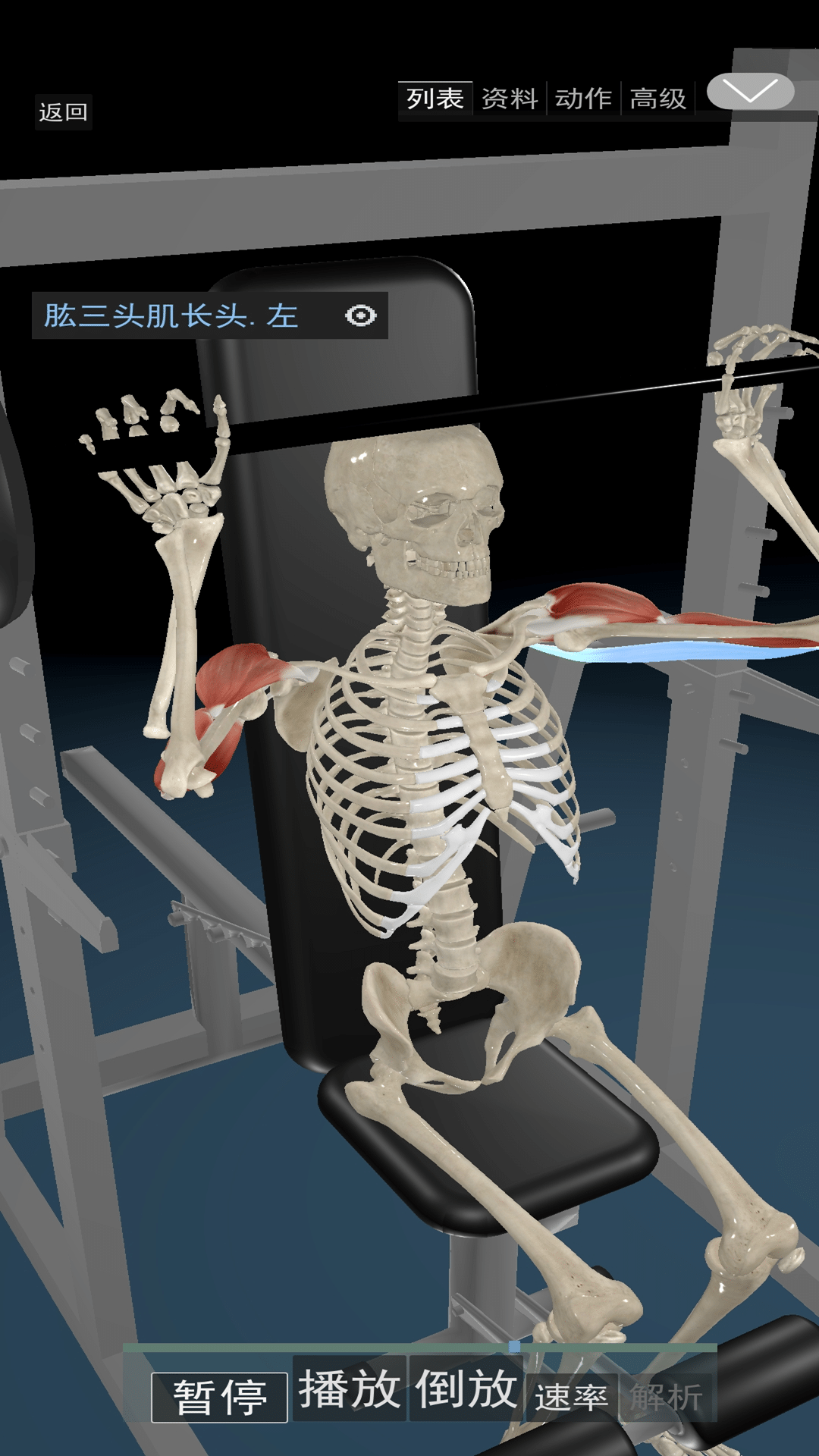 运动功能解剖教学系统App最新版 3D人体解剖模型界面展示