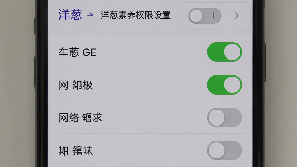 洋葱素养安装权限设置界面,手机屏幕显示应用权限管理页面,存储和网络权限开关为绿色开启状态,其他权限为灰色关闭,背景为浅灰色,风格简洁,细节清晰,画质干净,无多余元素